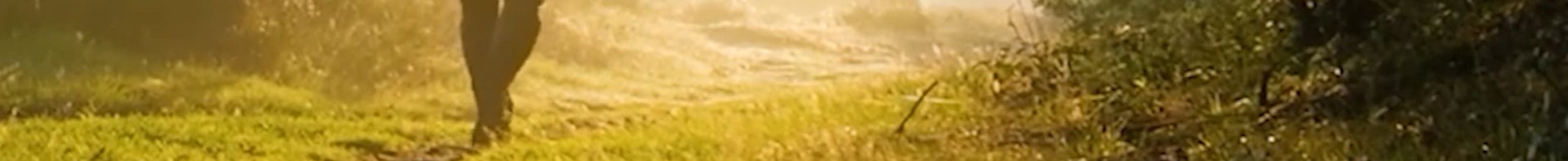 Walk to the Future banner