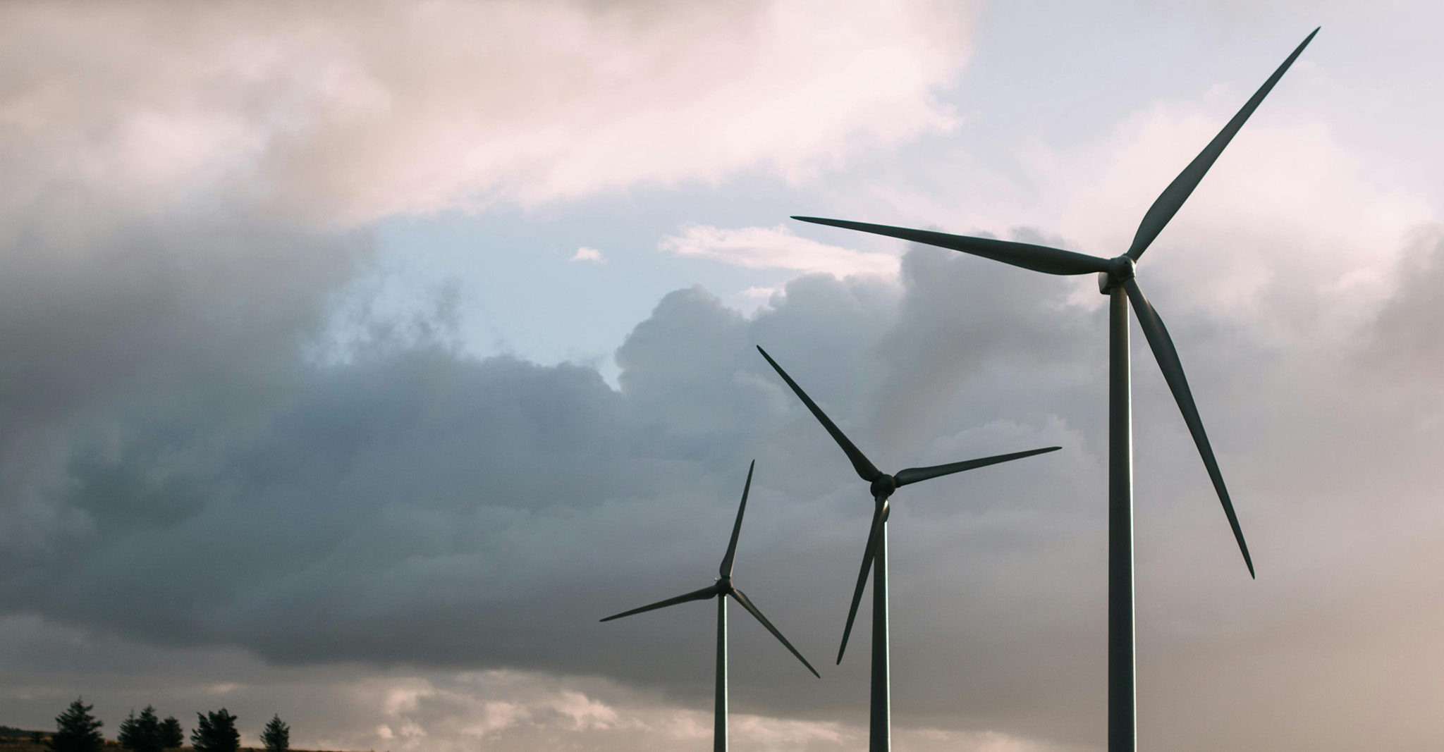 Wind farm representing renewable energy in Norwich